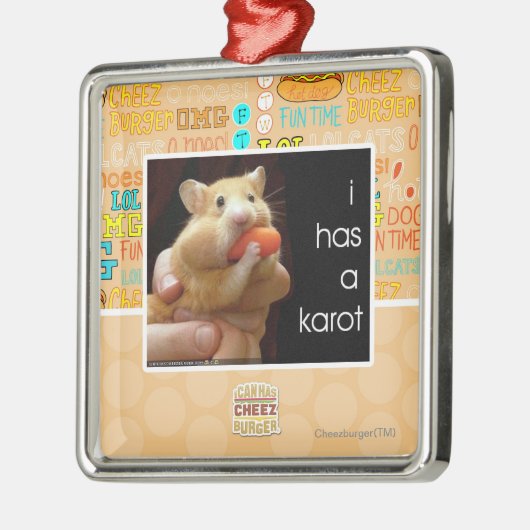 I hat ein karot silbernes ornament (Links)