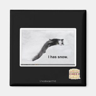 I hat Schnee Magnet