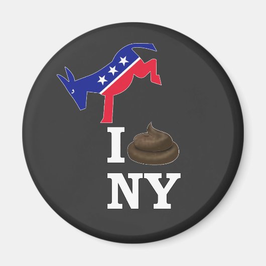 i hate new york magnet (Vorne)