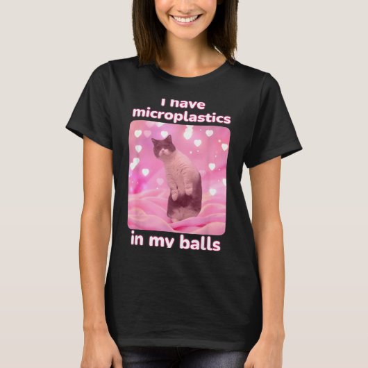 I Have Microplastics In My Pink Cat Meme Dank Meme T-Shirt (Vorderseite)