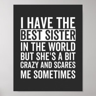 I have the best sister in the world poster