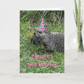 I heard it's your birthday, groundhog cards karte (Vorderseite)