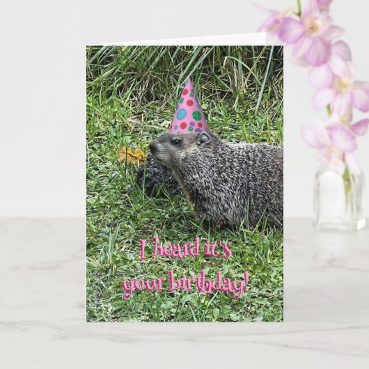 I heard it's your birthday, groundhog cards karte (Orchidee)