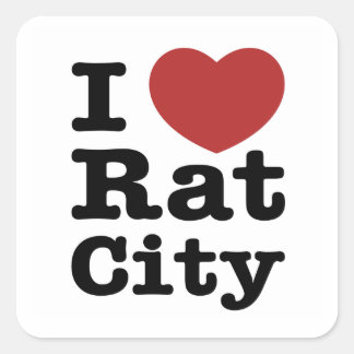 I Heart Rat City Quadratischer Aufkleber