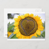 I Heart Sunflower Postkarte (Vorne/Hinten)