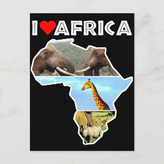 I Heat Africa Wildlife Collage Postcard Postkarte (Vorderseite)