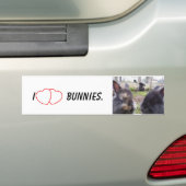 I Herz-Häschen Autoaufkleber (Auf Auto)