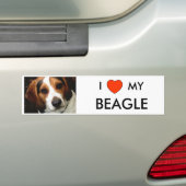 I Herz MEIN BEAGLE Autoaufkleber (Auf Auto)