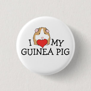 I Herz mein Meerschweinchen-Knopf Button