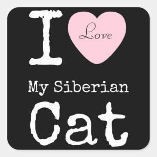 I Herz mein sibirischer Katzen-Aufkleber Quadratischer Aufkleber