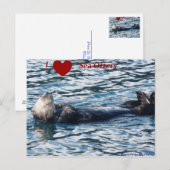 I Herz Sea Otters Postkarte (Vorne/Hinten)