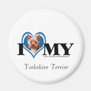 I Herz-Yorkshire Terrier-Blau-Magnet Magnet