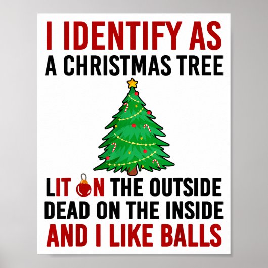 I Identify As A Christmas Tree Lit On The Outside  Poster (Vorne)