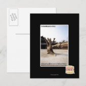 I iz Rasierpasten Postkarte (Vorne/Hinten)