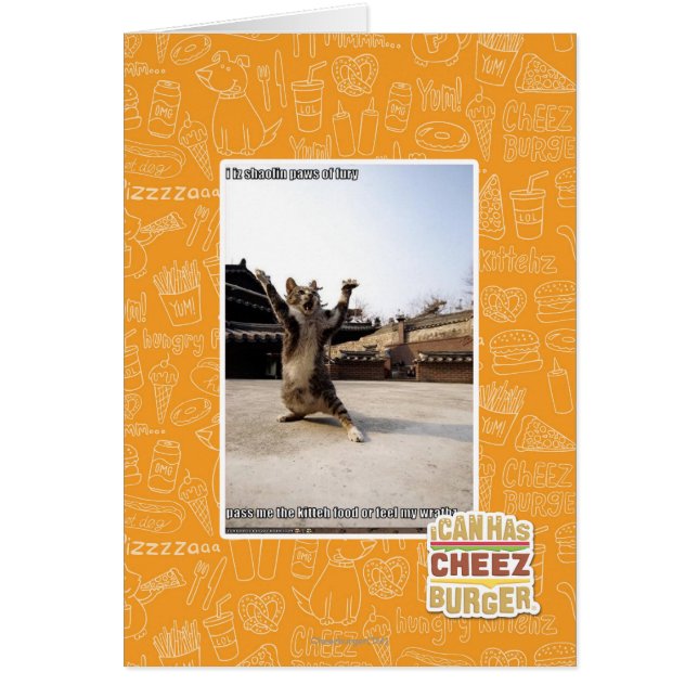 I iz Shaolin-Pfoten aus Zorn (Vorne)