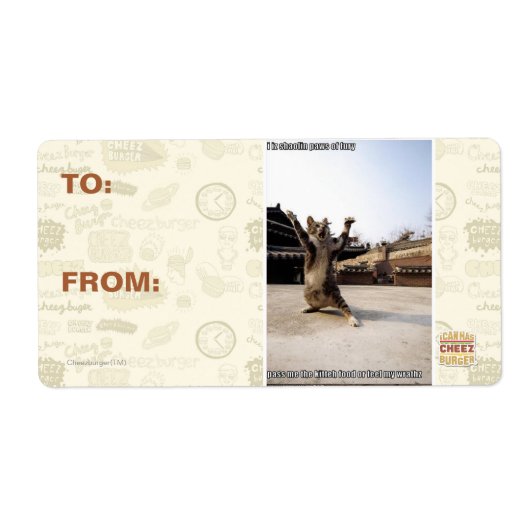 I iz Shaolin-Pfoten aus Zorn (Vorne)