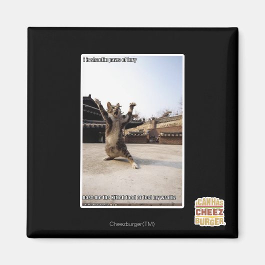 I iz Shaolin-Pfoten aus Zorn Magnet (Vorne)