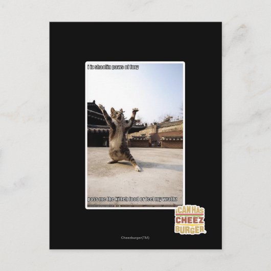 I iz Shaolin-Pfoten aus Zorn Postkarte (Vorderseite)