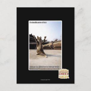 I iz Shaolin-Pfoten aus Zorn Postkarte