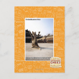 I iz Shaolin-Pfoten aus Zorn Postkarte
