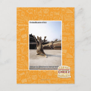 I iz Shaolin-Pfoten aus Zorn Postkarte