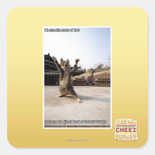 I iz Shaolin-Pfoten aus Zorn Quadratischer Aufkleber