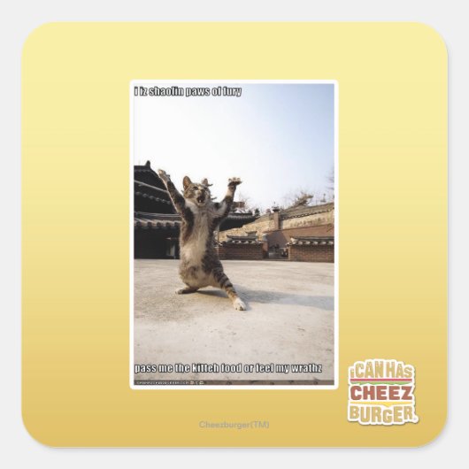 I iz Shaolin-Pfoten aus Zorn Quadratischer Aufkleber (Vorderseite)