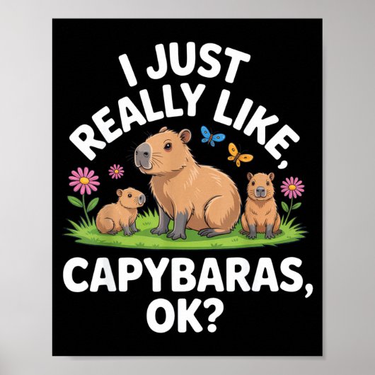 I Just Really Like Capybaras Ok_ Animal Lover Funn Poster (Vorne)