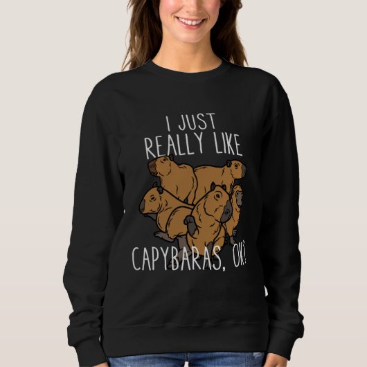 I Just Really Like Capybaras Ok  Capibara Rodent H Sweatshirt (Vorderseite)