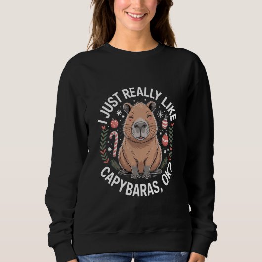 I Just Really Like Capybaras Ok Rodent Animal Love Sweatshirt (Vorderseite)