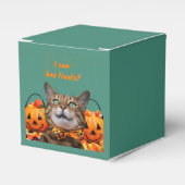 i Kann Leckereien Cat-Gefälligkeitsbox Geschenkschachtel (Vorderseite)