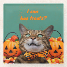 i Kann Leckereien Cat Glass Untersetzer