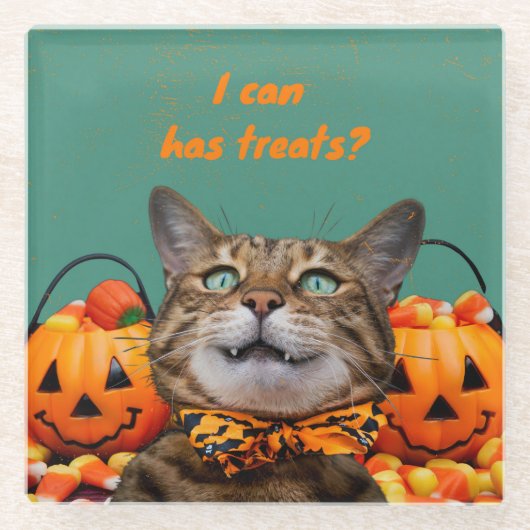 i Kann Leckereien Cat Glass Untersetzer (Vorderseite)