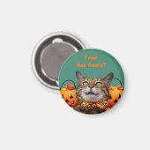 i Kann Leckereien Cat Magnet (Vorderseite/Rückseite)