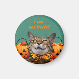 i Kann Leckereien Cat Magnet