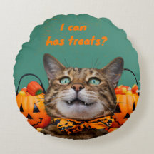 i Kann Leckereien Katzenwirbelpilz