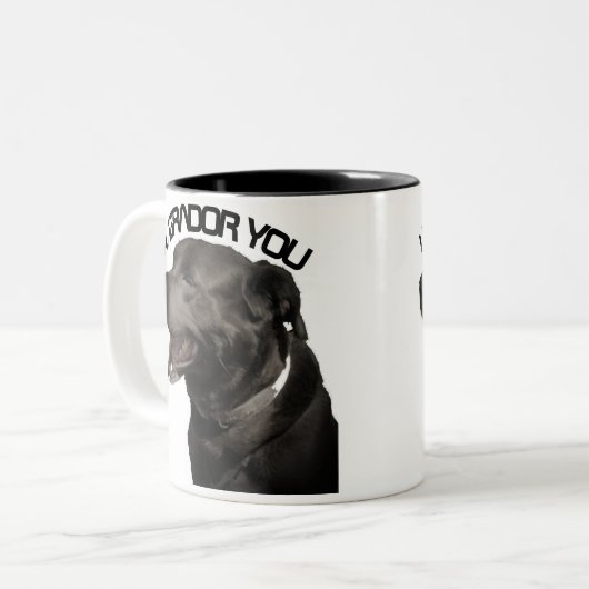 I Labrador Zweifarbige Tasse (Vorderseite Links)