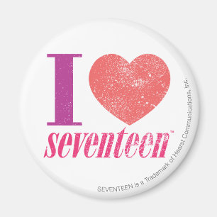 I Liebe 17 Magnet