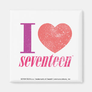 I Liebe 17 Magnet