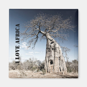 I Liebe Africa Baobab Tree Foto Magnet