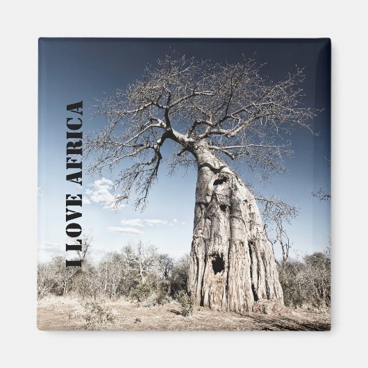 I Liebe Africa Baobab Tree Foto Magnet (Vorne)