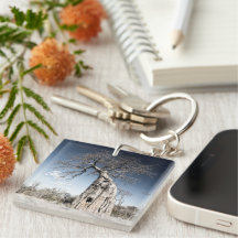 I Liebe Africa Baobab Tree Foto