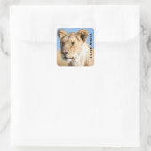 I Liebe Africa Portrait of a lioness Foto Quadratischer Aufkleber (Tasche)