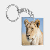 I Liebe Africa Portrait of a lioness Foto Schlüsselanhänger (Vorderseite links)