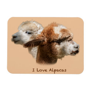 I Liebe Alpacas-Magnete Magnet
