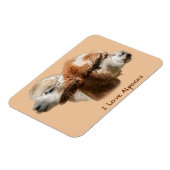 I Liebe Alpacas-Magnete Magnet (Linke Seite)