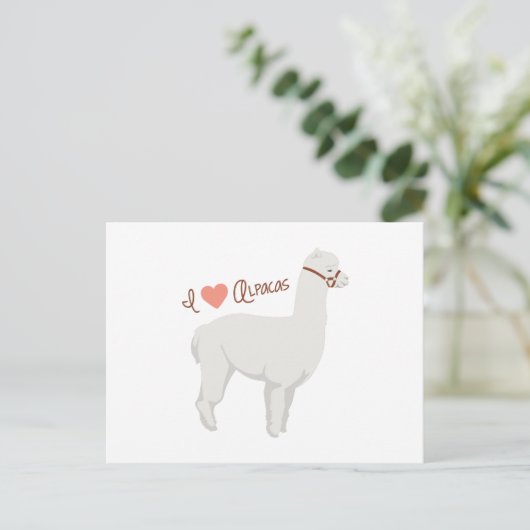 I Liebe Alpacas Postkarte (Stehend Vorderseite)