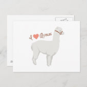 I Liebe Alpacas Postkarte (Vorne/Hinten)