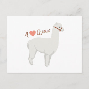 I Liebe Alpacas Postkarte