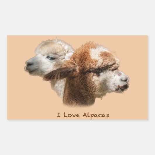 I Liebe Alpacas Rectangle Stickers (Vorderseite)